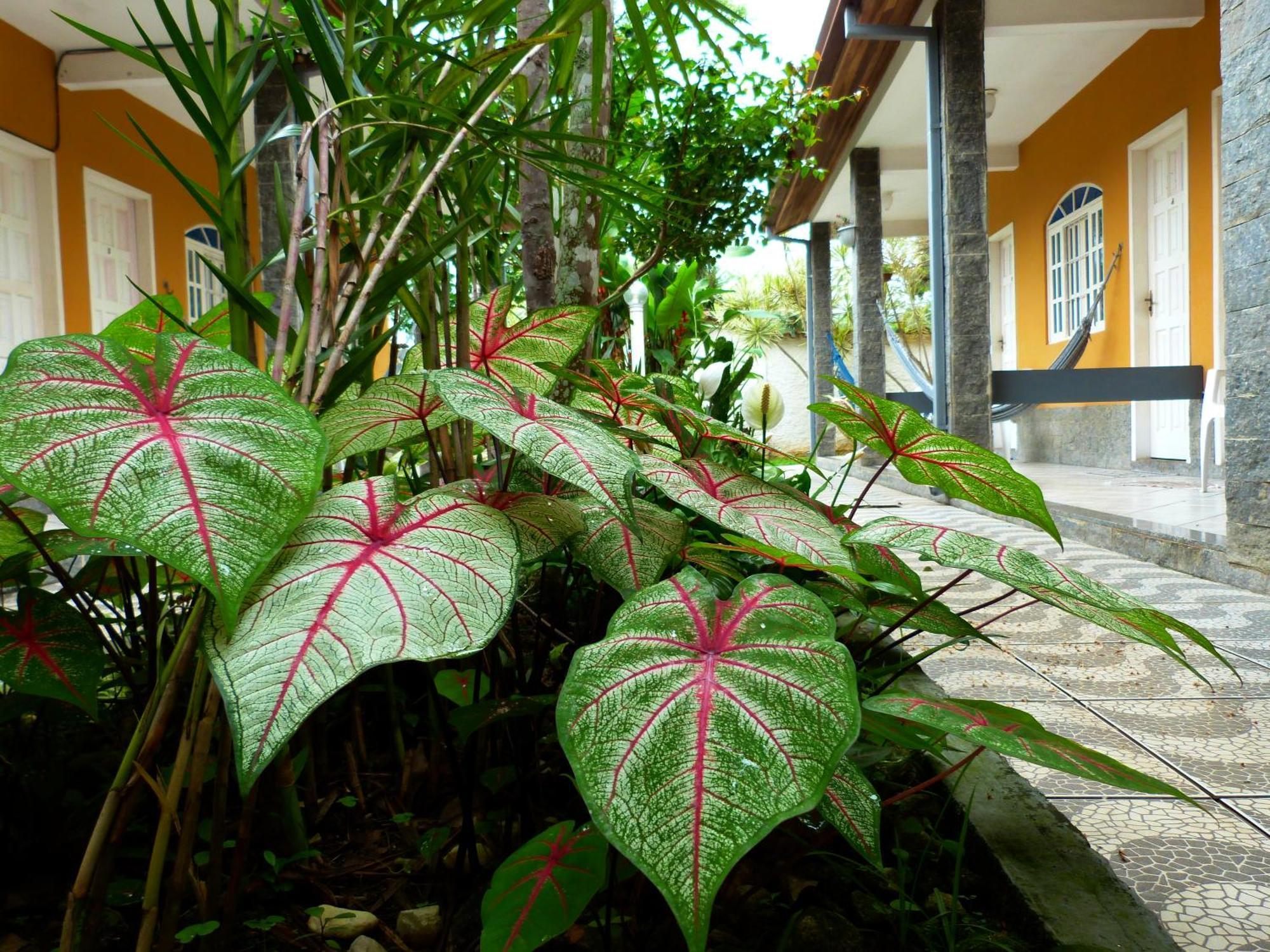 Villa Do Sonho Pousada Hotel Paraty Luaran gambar